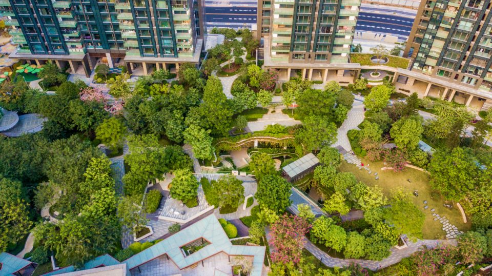 实景图