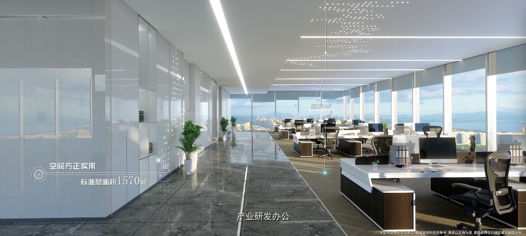 实景图