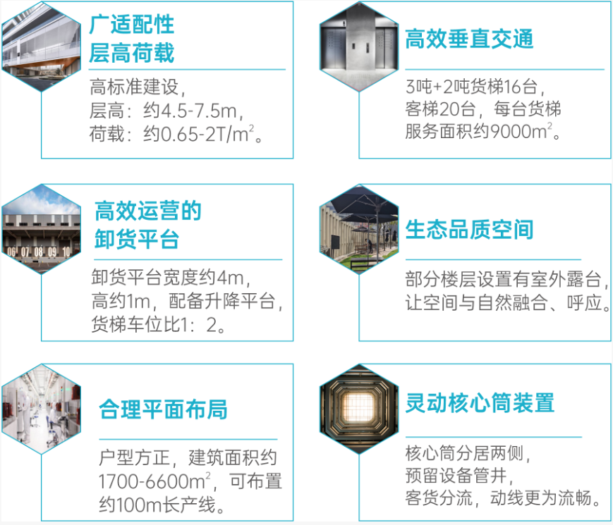 实景图