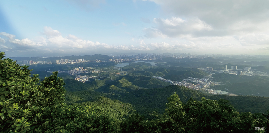 实景图