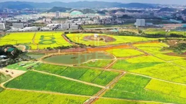 无房优先，光明又开新盘！金地峰境瑞府销售公示，21日起认筹(图15)