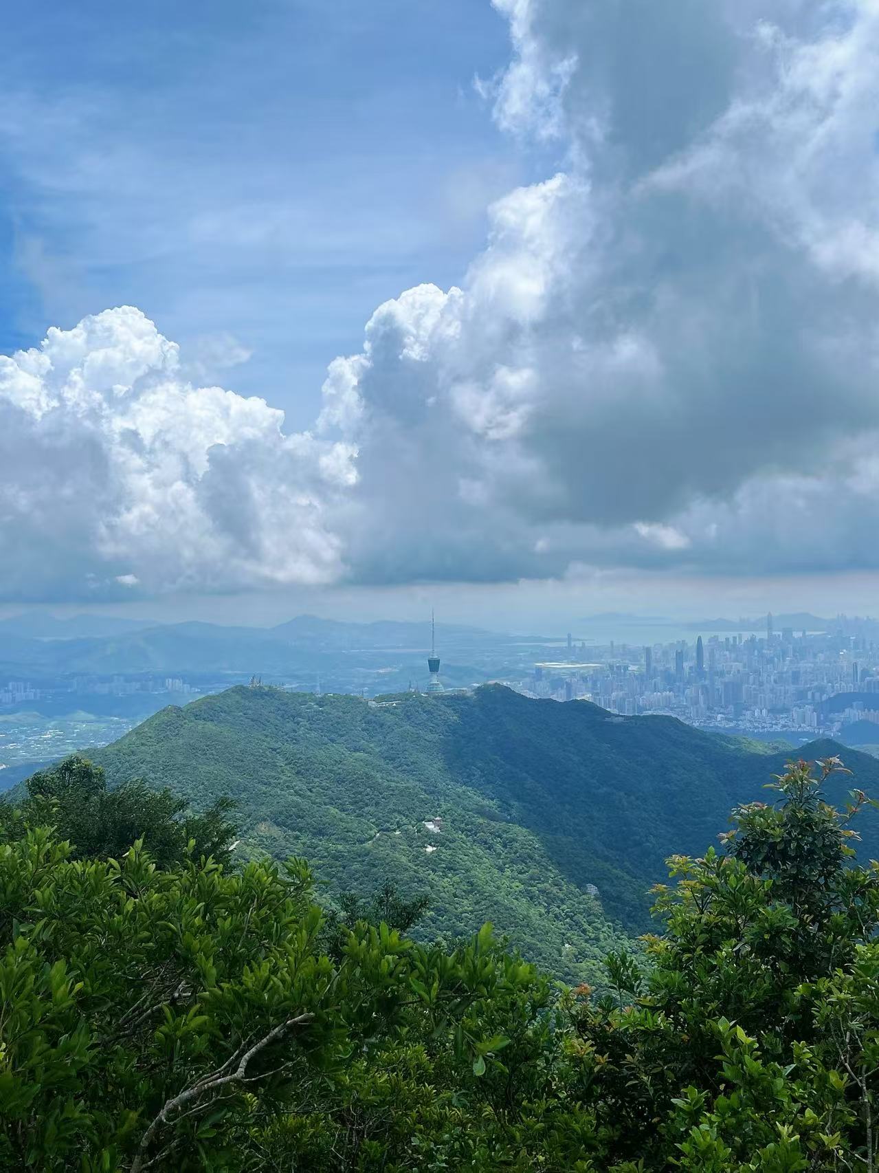 18-250P5130952L5.jpg
