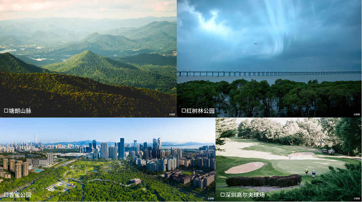 18-25101123391aE.jpg 18-25101123391aE.jpg