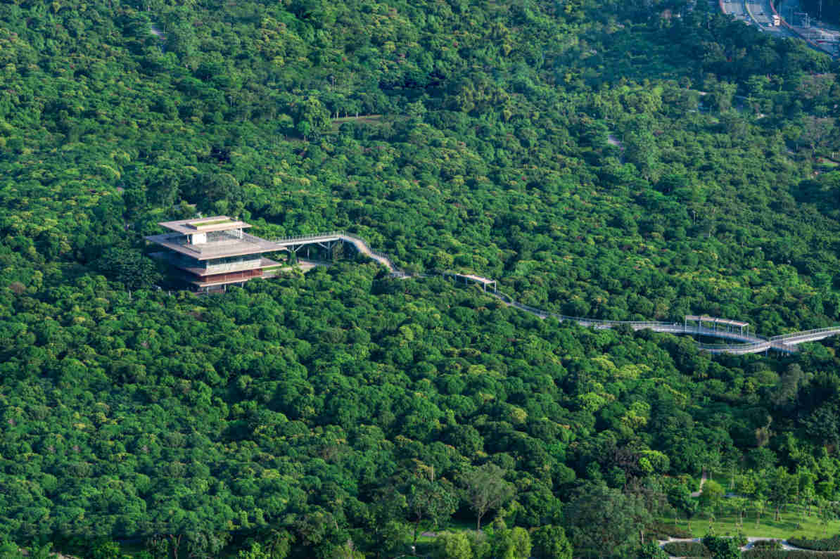 18-25101123401cI.jpg 18-25101123401cI.jpg