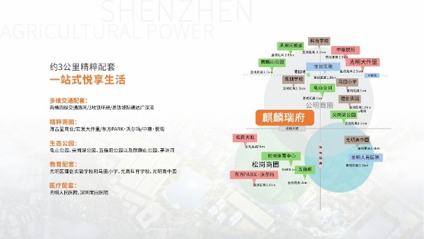 18-25111523420LU.jpg 18-25111523420LU.jpg