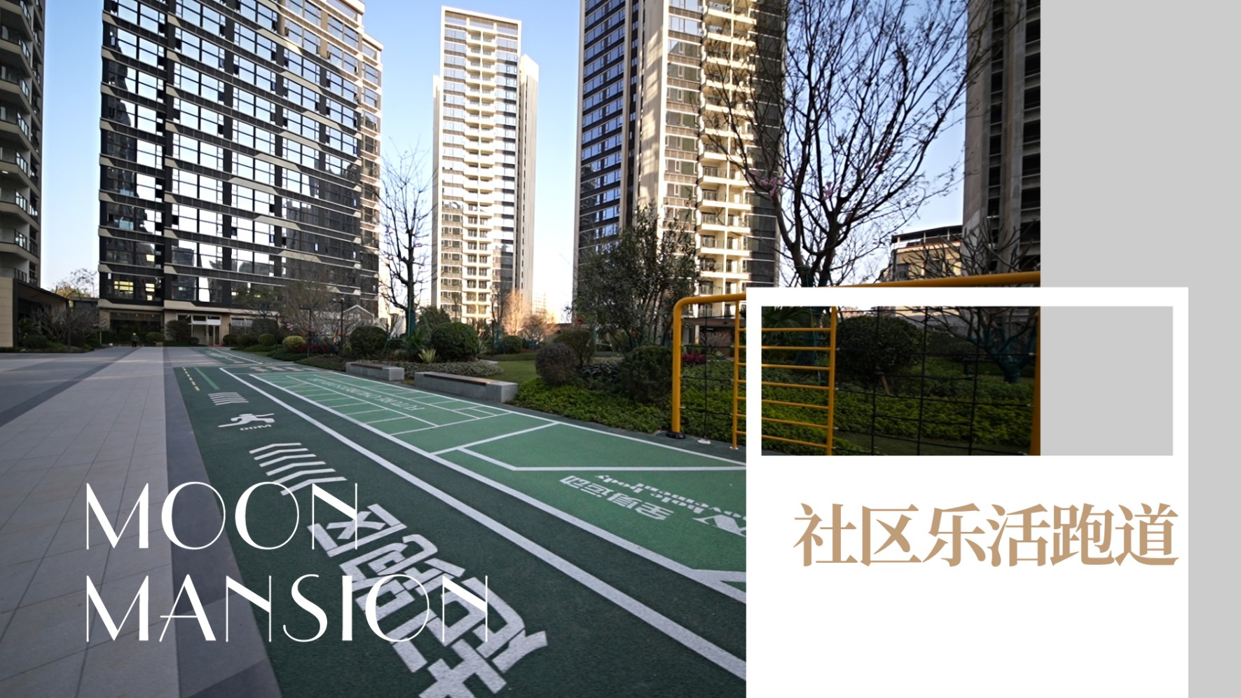 18-260R2224435P0.jpg