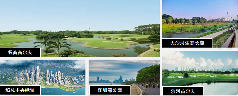 18-260Z4152911325.png 18-260Z4152911325.png